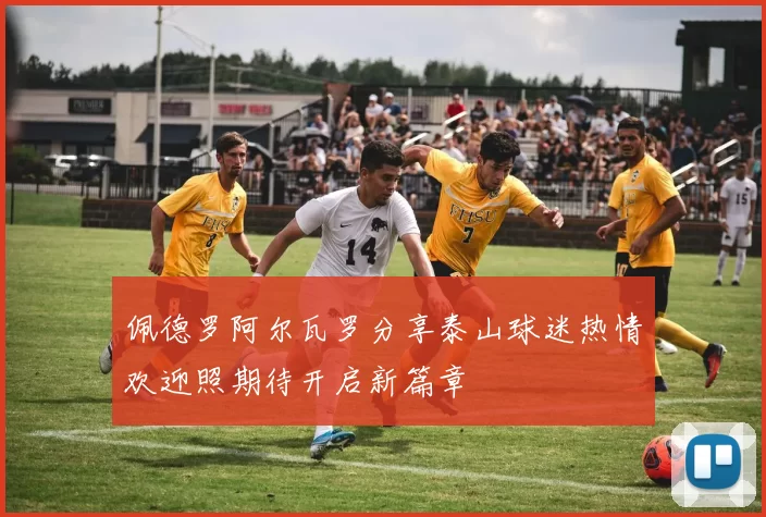 佩德罗阿尔瓦罗分享泰山球迷热情欢迎照期待开启新篇章